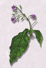 ���勵�Х�