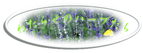 �錄�餻�Υϡ��֤���